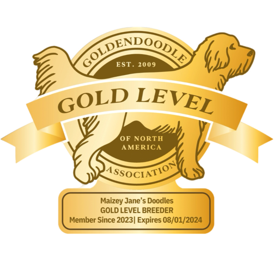 Goldendoodle Association of North America Gold Level Member Breeders Maizey Jane's Doodles